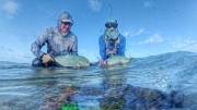 Bluefin trevally doubled up fly fishing Maldives